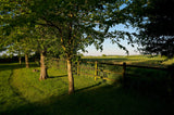 Longevity Four Night Retreat Suffolk - April 17th to April 21st 2026 FULLY BOOKED email to be on wait list
