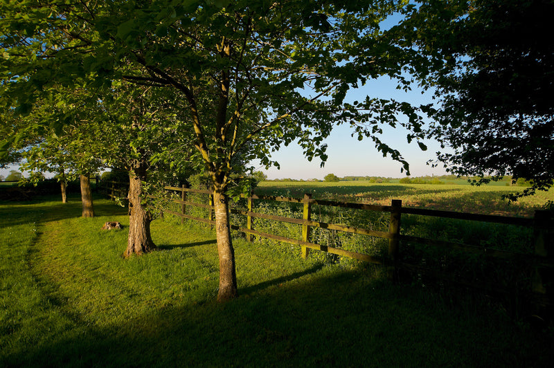 Longevity Four Night Retreat Suffolk - April 17th to April 21st 2026 FULLY BOOKED email to be on wait list