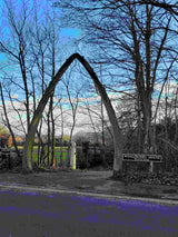 The Day Retreat @ Whalebone  Wellness Centre London Saturday July 25th 2026